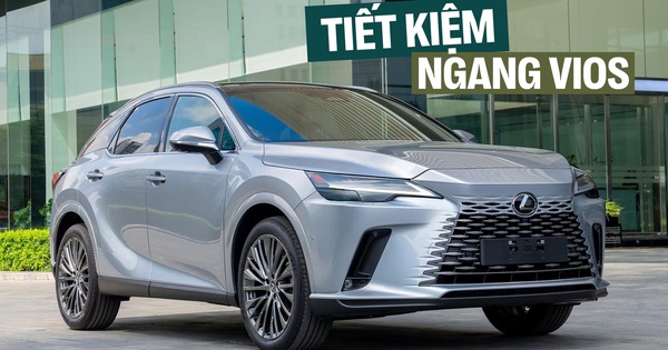 Lexus RX sắp thêm 2 bản ăn xăng như Vios tại Việt Nam: Mạnh gần 250hp, tiêu thụ từ hơn 4,8 lít/100km