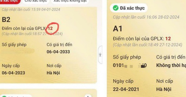 Xuất hiện thủ đoạn lừa đảo mới cài đặt cấp 12 điểm giấy phép lái xe