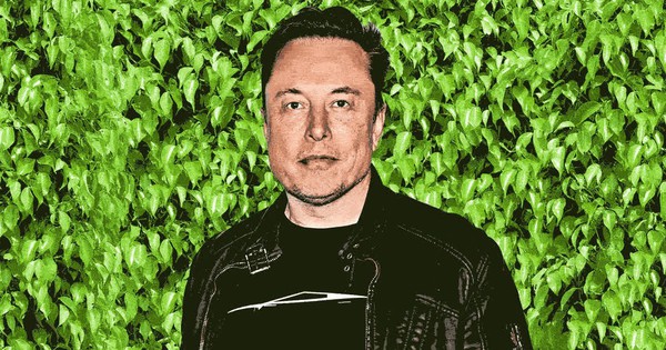 Bỏ mặc cả thế giới chạy theo mình làm xe điện, Elon Musk khiến nhà đầu tư bàng hoàng khi nói muốn biến Tesla thành 