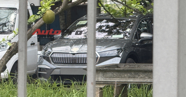 Skoda Enyaq tiếp tục lộ diện tại Việt Nam: Là bản cao nhất, động cơ điện mạnh 340 mã lực, chạy 542km/sạc, có biến thể SUV coupe, không phải thế hệ mới nhất