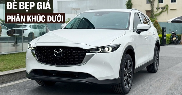 Loạt xe giảm sốc phá đáy, thiết lập lại sàn giá phân khúc tại Việt Nam: Từ sedan cỡ C 295 triệu đến SUV cỡ D 855 triệu đồng