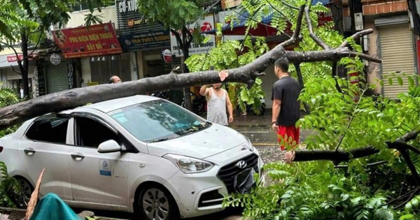 Ô tô hư hỏng do thiên tai, bảo hiểm sẽ đền bù như thế nào?