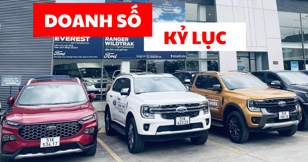 Ford Việt Nam bán nhiều kỷ lục: Ranger, Everest, Transit đều nhất phân khúc, thị phần dễ top 4 toàn thị trường