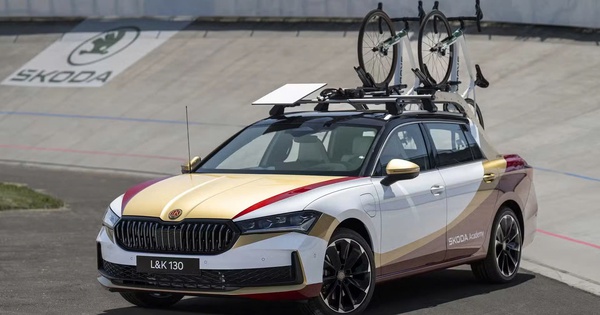 Sếp Skoda: 