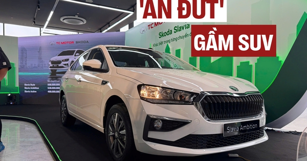 Skoda Slavia là sedan nhưng gầm cao hơn 8 xe gầm cao này tại Việt Nam