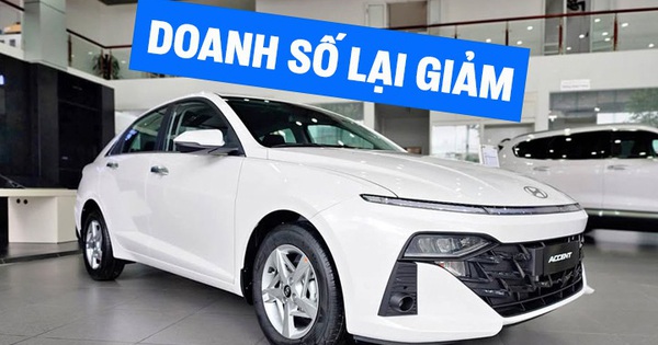 Doanh số Hyundai tháng 2/2025: Không mẫu nào bán quá 500 chiếc, Stargazer, Custin bất ngờ trở thành điểm sáng