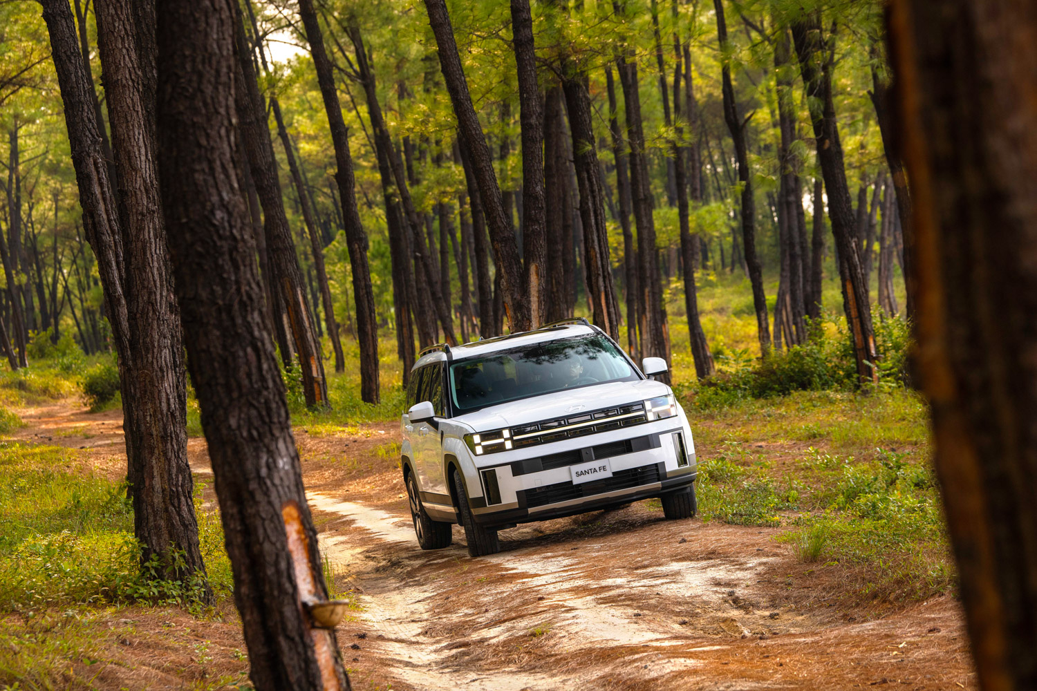 Hyundai Santa Fe giảm giá sâu tới 200 triệu đồng, ‘đe nẹt’ Ford Everest