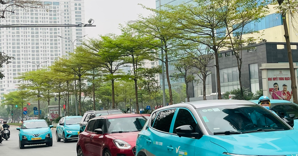 Bất ngờ thị trường tái chế pin xe điện