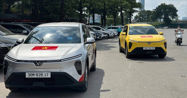 2 chiếc VinFast Limo Green đi nhiều nhất Việt Nam: Chạy hàng nghìn km, độ lại gần như toàn bộ, xuyên Việt 9 ngày không biết mệt