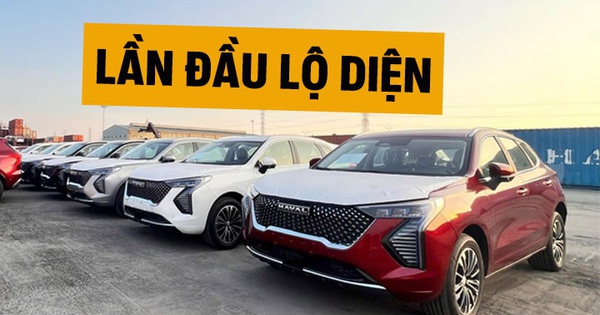 Lô Haval Jolion đầu tiên cập cảng Việt Nam: 2 phiên bản phân biệt được từ ngoại hình, có điểm khác bản Thái, dễ ra mắt tháng này đấu Corolla Cross