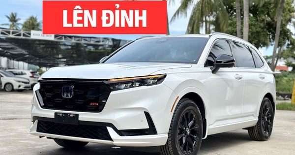 Xe hybrid bán chạy tháng 8 tại Việt Nam: CR-V bất ngờ lên đỉnh, Yaris Cross tăng mạnh nhưng nhiều mẫu xe Toyota lao dốc