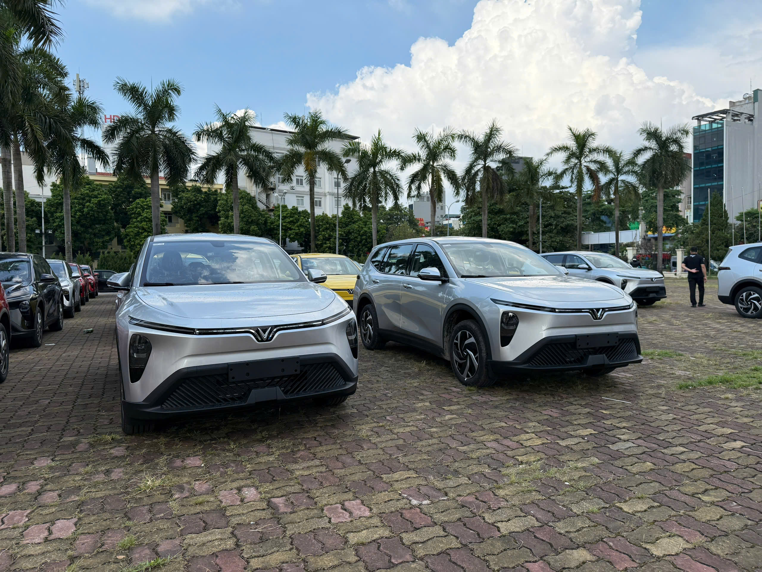Cận cảnh dàn xe VinFast Limo Green chuẩn bị được bàn giao tới tay người dùng vào sáng mai 19/9