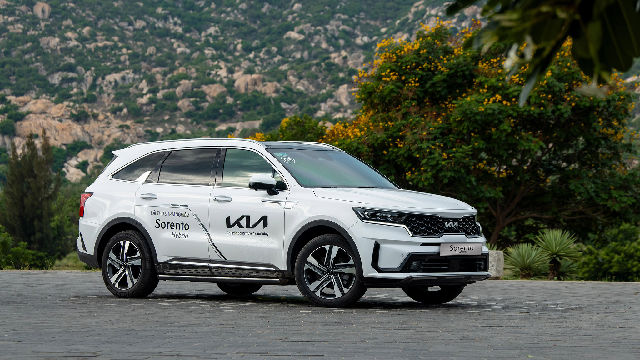 Kia K5 và Kia Sorento ưu đãi đặc biệt gần nửa tỷ đồng