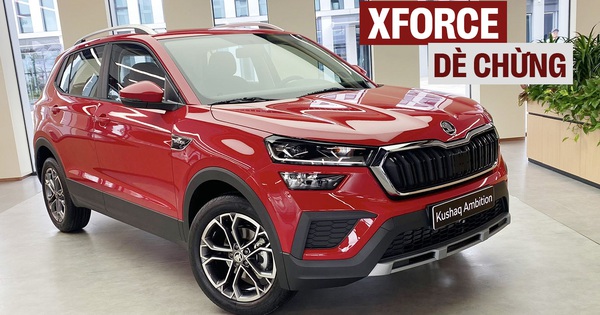 Ảnh thực tế 2 bản Skoda Kushaq tại Việt Nam: Giá dự kiến từ dưới 600 triệu đồng, ra mắt tháng này cạnh tranh Xforce, Creta