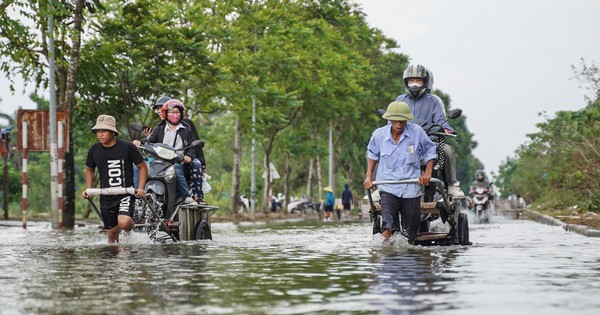 Người dân qua đại lộ Thăng Long bỏ 50.000 đồng/lượt xe bò để ‘vượt ngập’