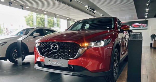 Loạt xe top doanh số các hãng năm 2024 tại Việt Nam: Xpander, Ranger, CX-5 ‘gánh’ gần nửa thương hiệu