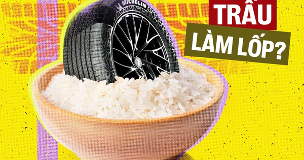 Michelin dùng vỏ trấu làm lốp xe, khách Việt sắp có thêm dòng lốp êm thế hệ mới